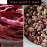 Fresh Borlotti Beans | FoodieGoesHealthy.com