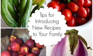 Tips for introducing new recipes to your family - FoodieGoesHealthy