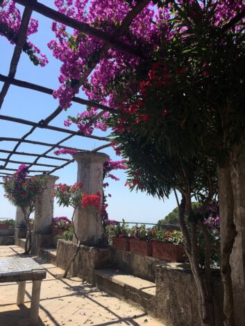 Flowers at Villa Rufolo, Ravello from A Teenager's Guide to Positano | FoodieGoesHealthy.com